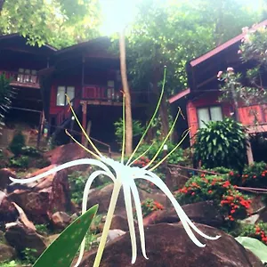 Hill Station touristique Koh Phi Phi Don